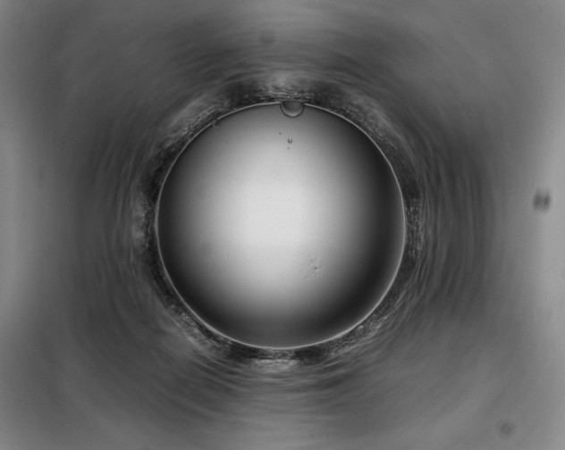 X0000099310266200805021321