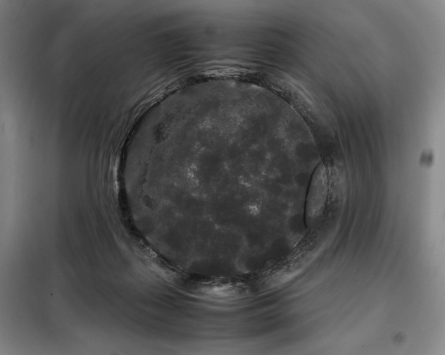 X0000099310267200805021321