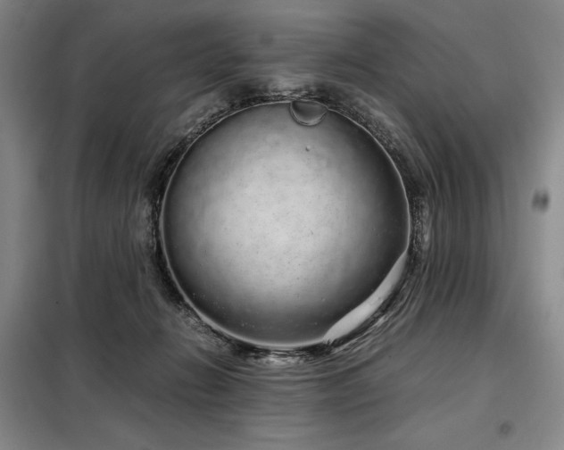 X0000099310270200805021321