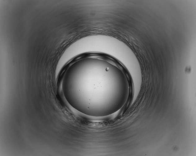 X0000099310272200805021321