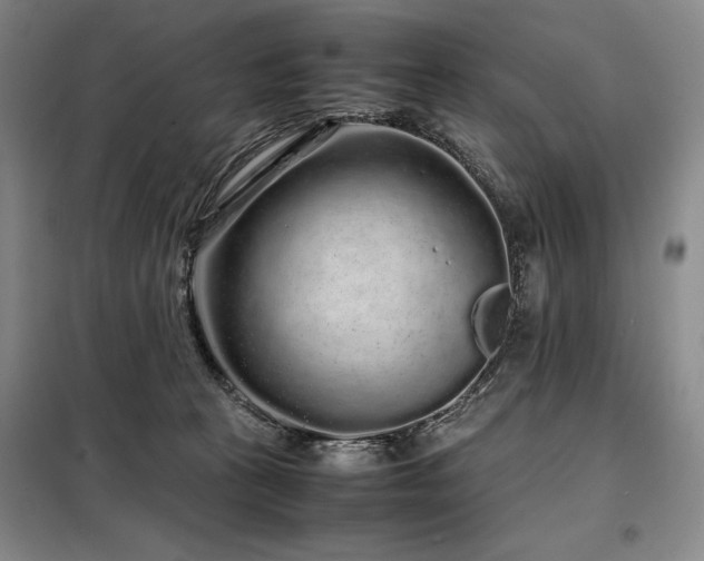X0000099310273200805021321