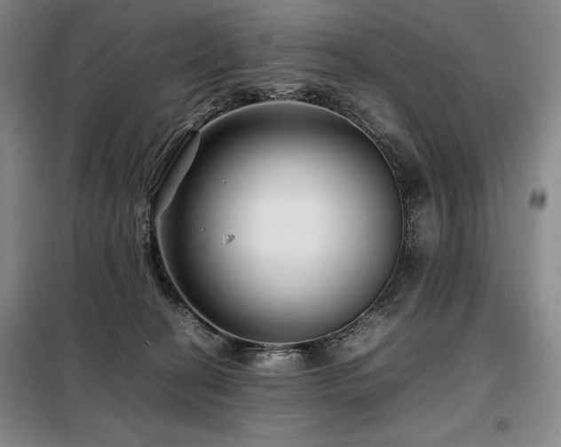 X0000099310274200805021321