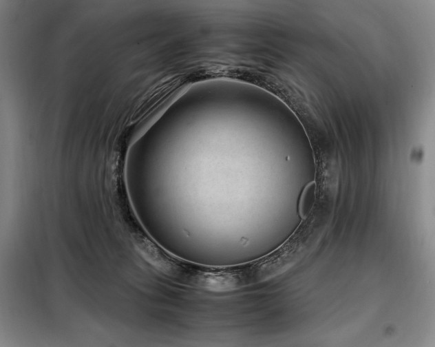 X0000099310275200805021321