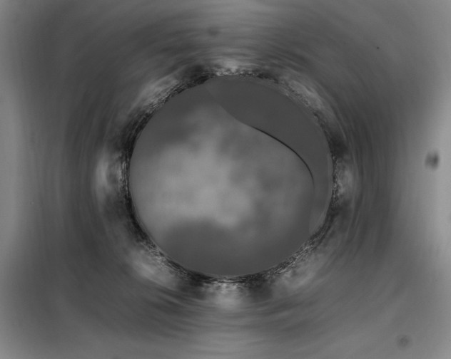 X0000099310276200805021321