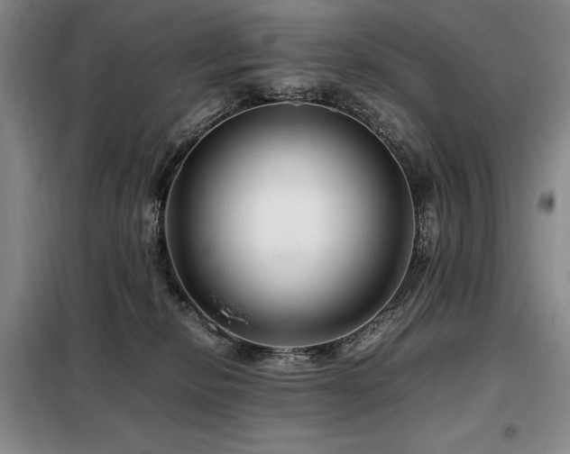 X0000099310278200805021321
