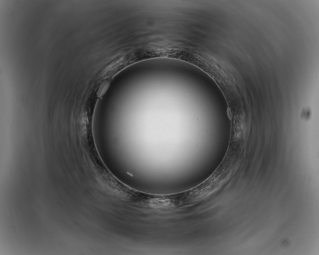 X0000099310279200805021321