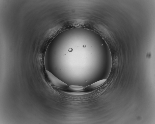 X0000099310280200805021321