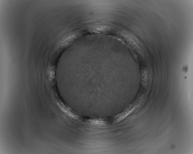 X0000099310284200805021321