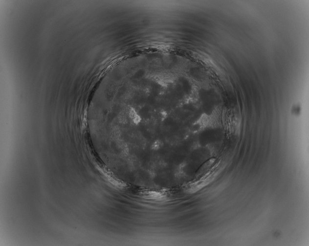 X0000099310285200805021321