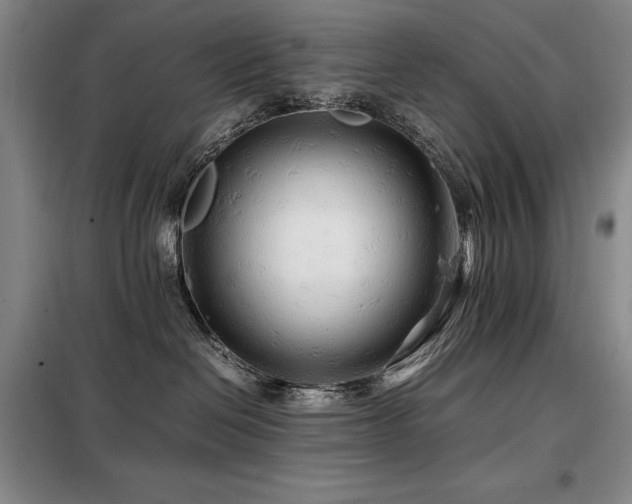 X0000099310286200805021321