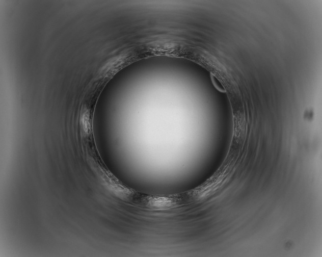 X0000099310287200805021321