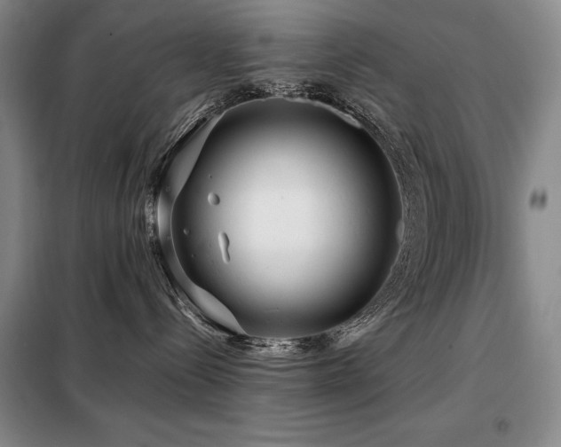 X0000099310288200805021321