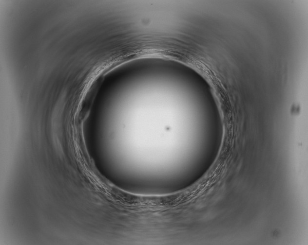 X0000099310289200805021320