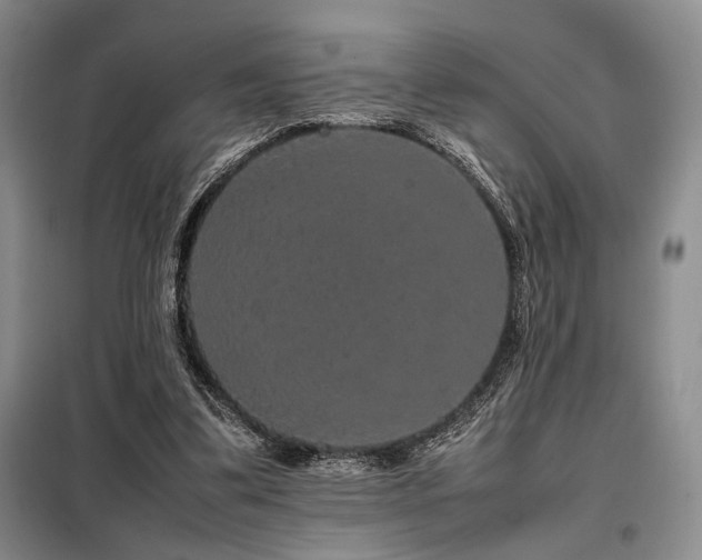 X0000099310299200805021320