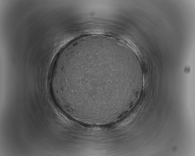 X0000099310301200805021320