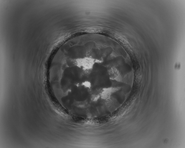 X0000099310303200805021320
