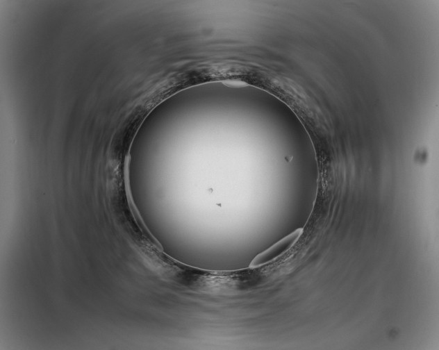 X0000099310327200805021320