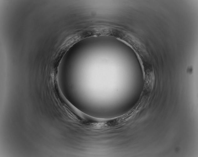 X0000099310333200805021320