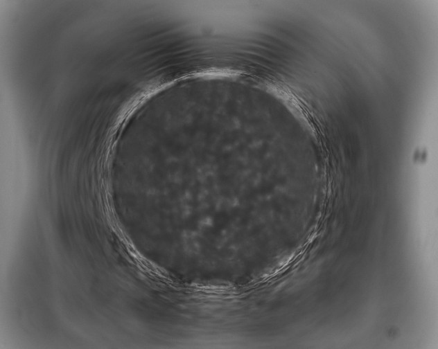 X0000099310337200805021319