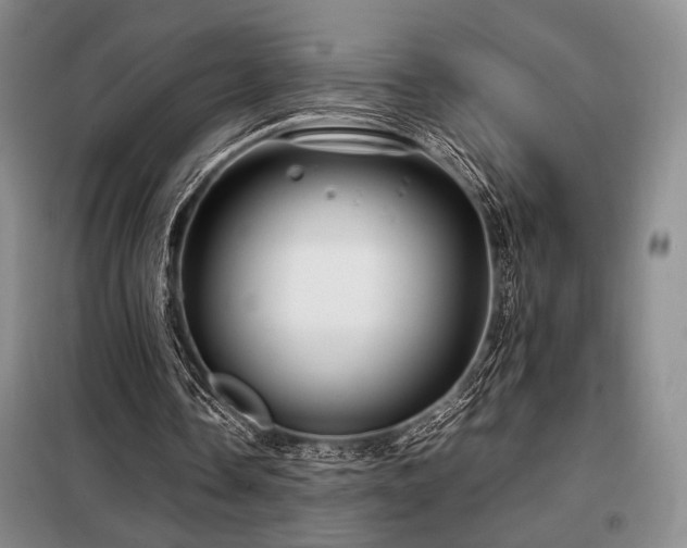 X0000099310338200805021319