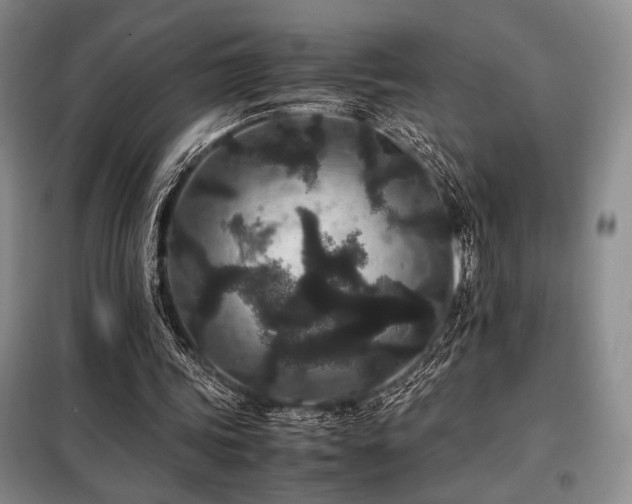 X0000099310339200805021319