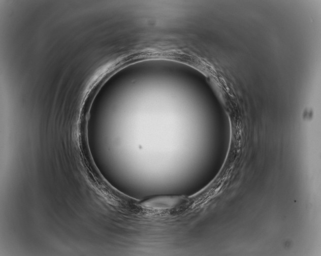 X0000099310340200805021319