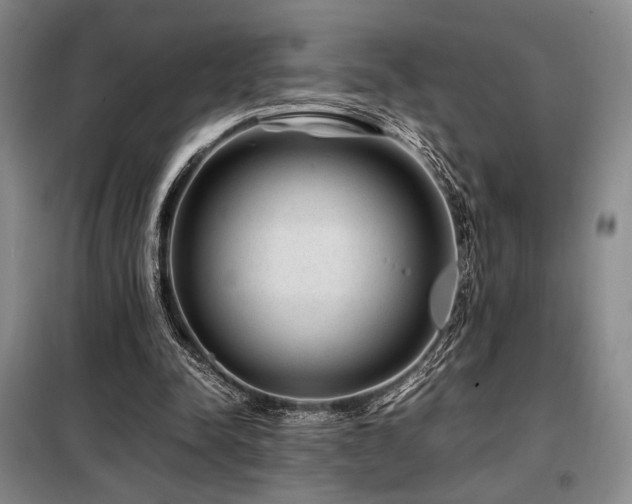 X0000099310342200805021319