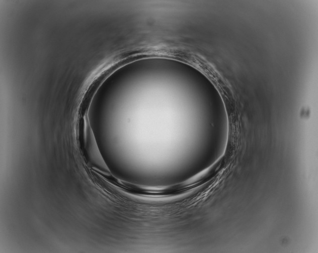 X0000099310344200805021319