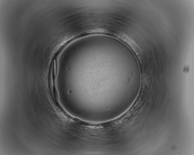 X0000099310345200805021319