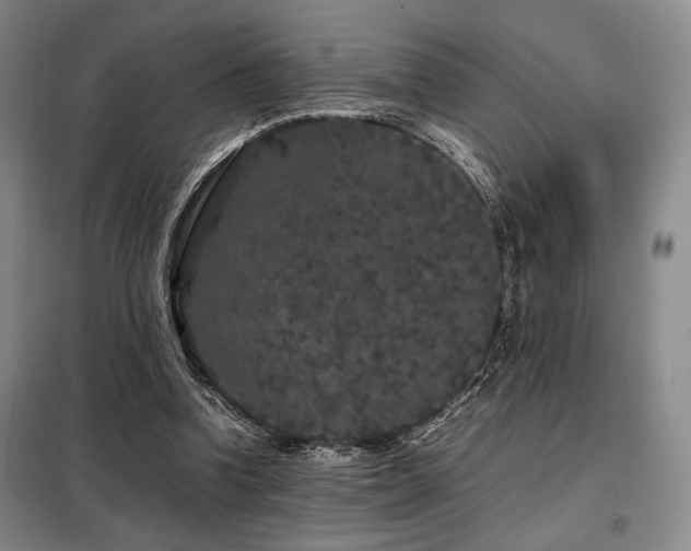 X0000099310346200805021319