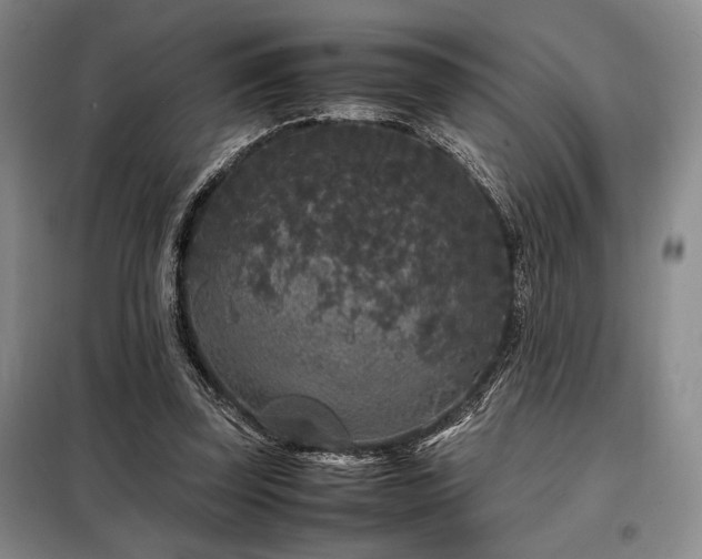 X0000099310347200805021319