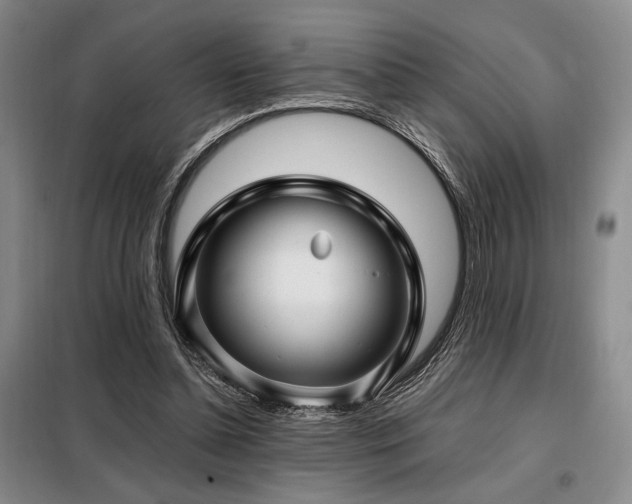 X0000099310348200805021319