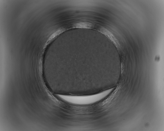 X0000099310349200805021319