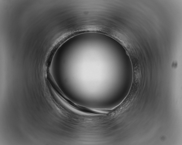 X0000099310350200805021319