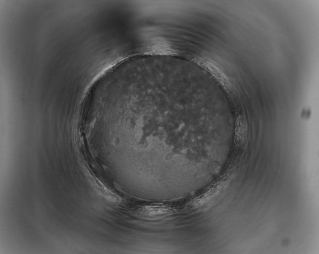 X0000099310351200805021319