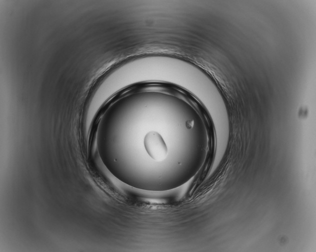 X0000099310352200805021319