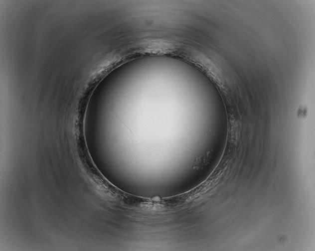 X0000099310354200805021319