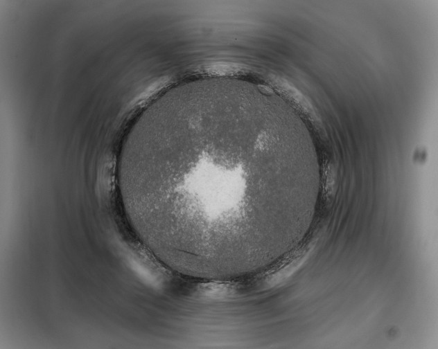 X0000099310356200805021319