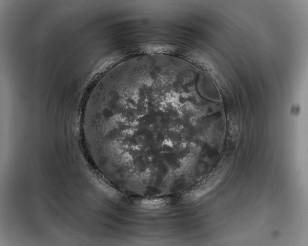 X0000099310357200805021319