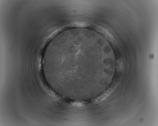 X0000099310358200805021319