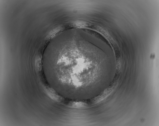 X0000099310360200805021319