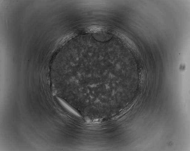 X0000099310361200805021319