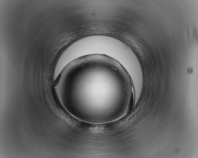 X0000099310362200805021319