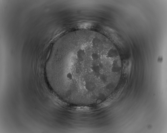 X0000099310363200805021319