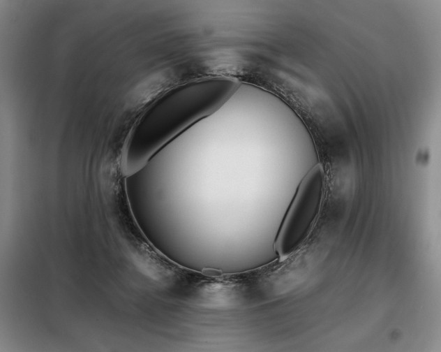 X0000099310364200805021319
