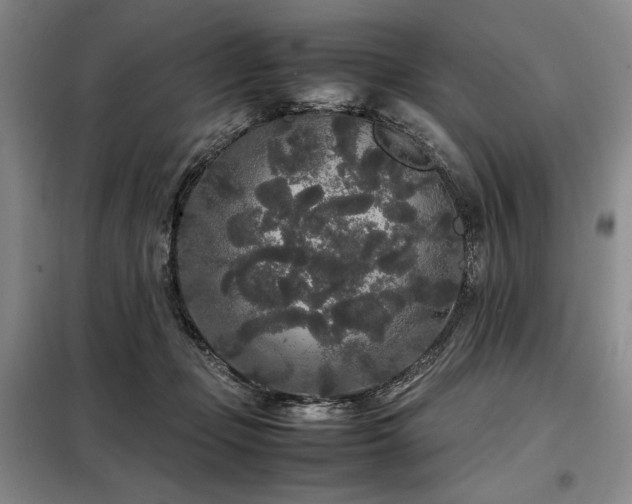 X0000099310365200805021319