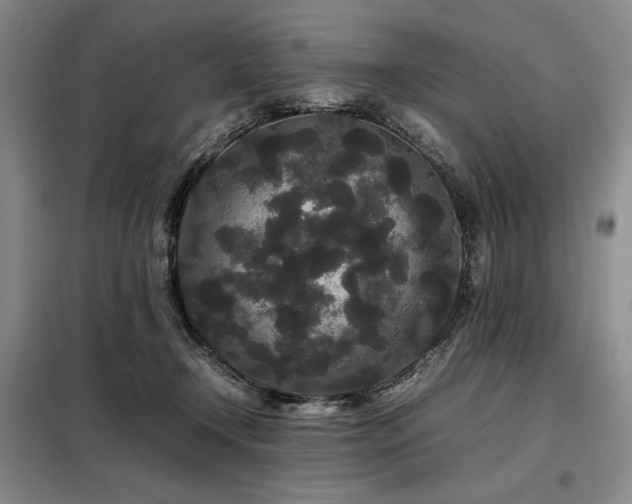 X0000099310366200805021319