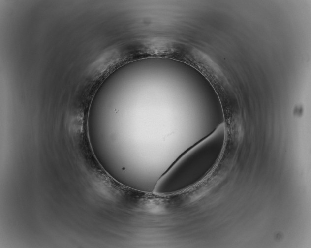 X0000099310368200805021319