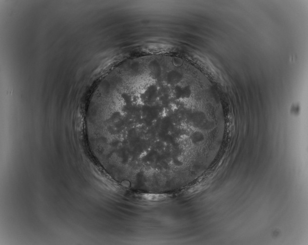 X0000099310371200805021319