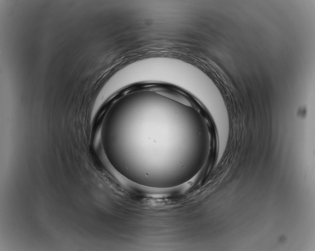 X0000099310372200805021319